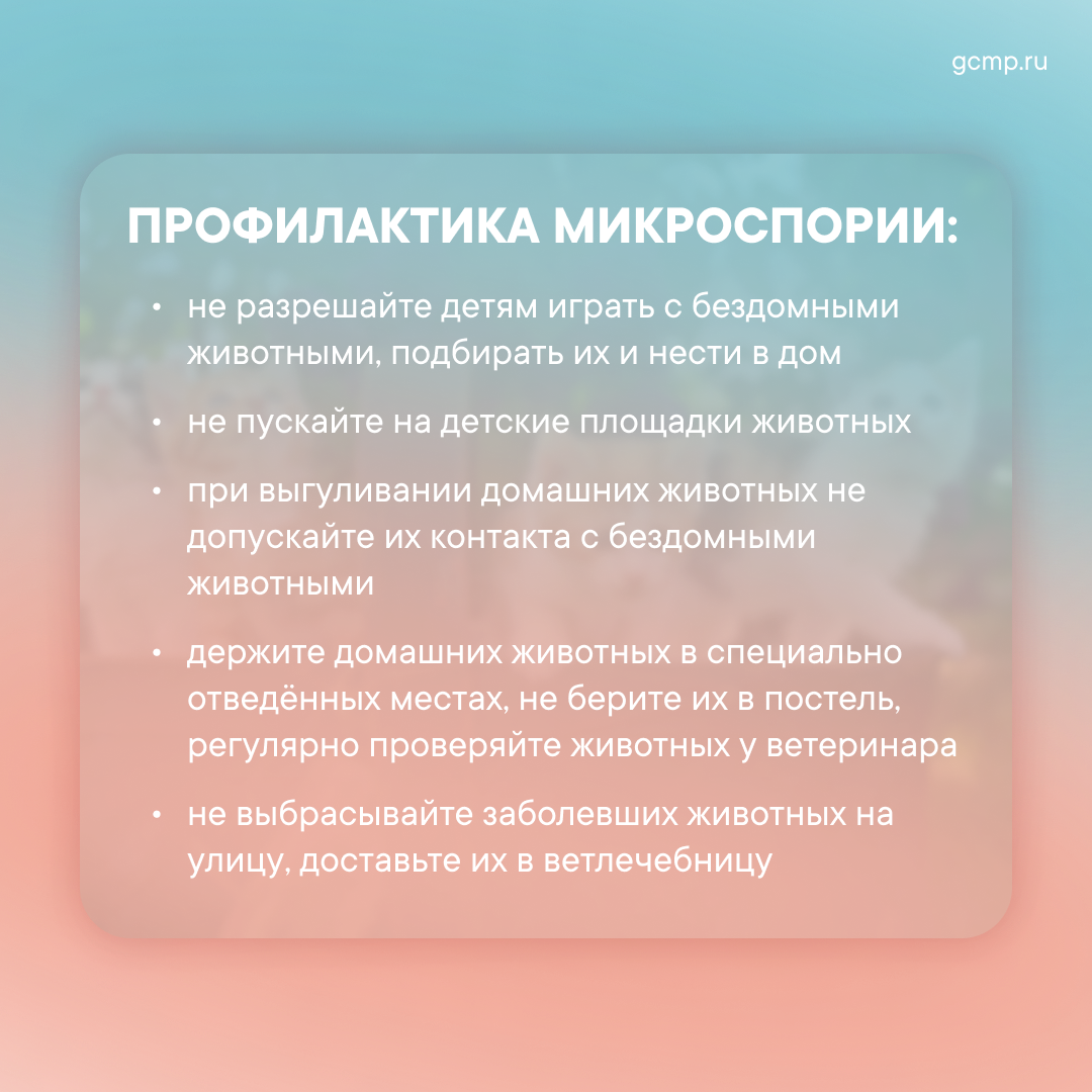 Государственное бюджетное общеобразовательное учреждение средняя  общеобразовательная школа № 512 Невского района Санкт-Петербурга - Новости  школы