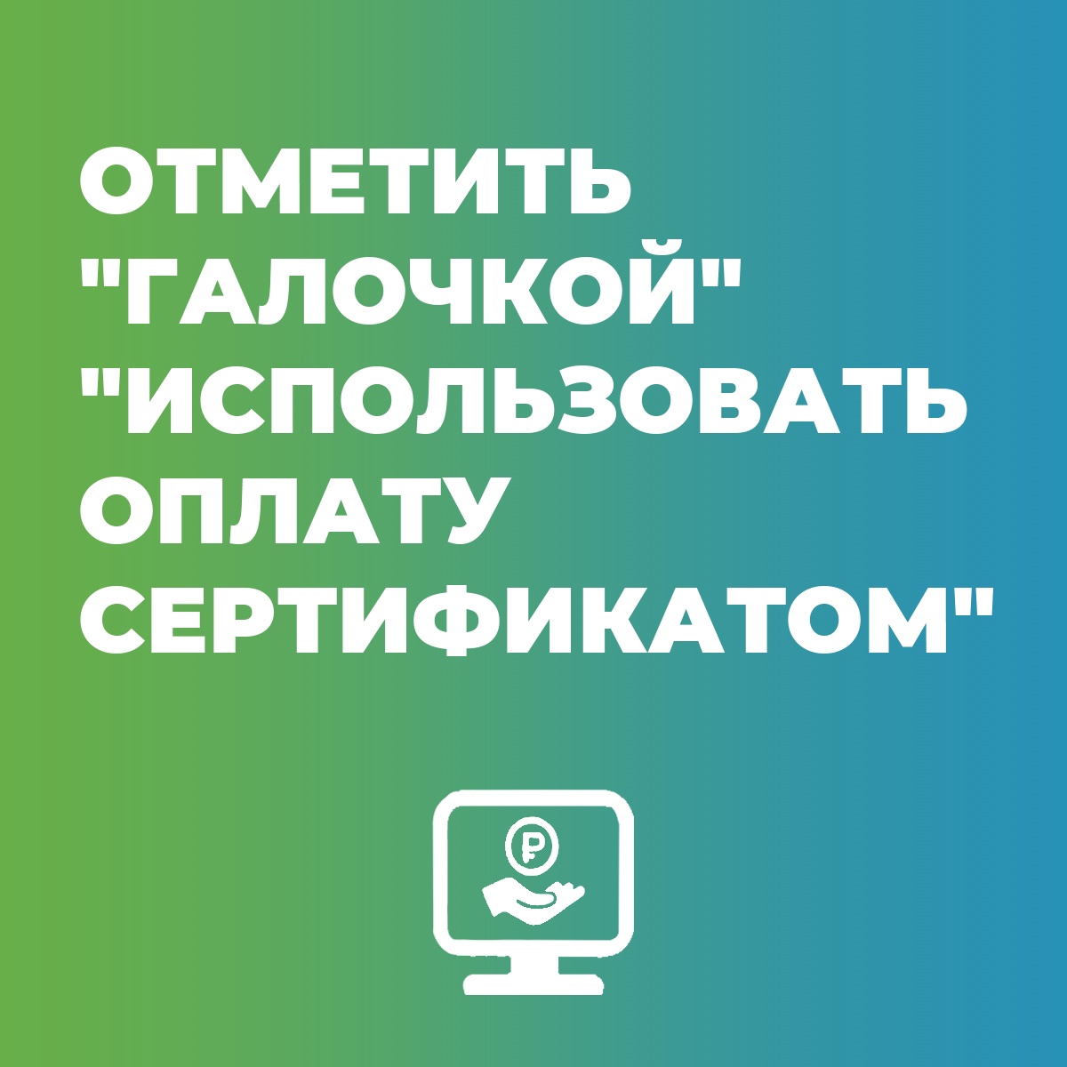 Государственное бюджетное общеобразовательное учреждение средняя  общеобразовательная школа № 512 Невского района Санкт-Петербурга - Новости  школы